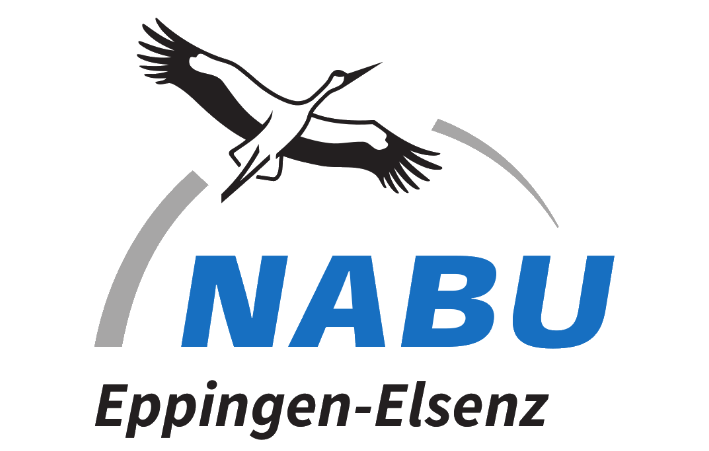 Nabu Logo